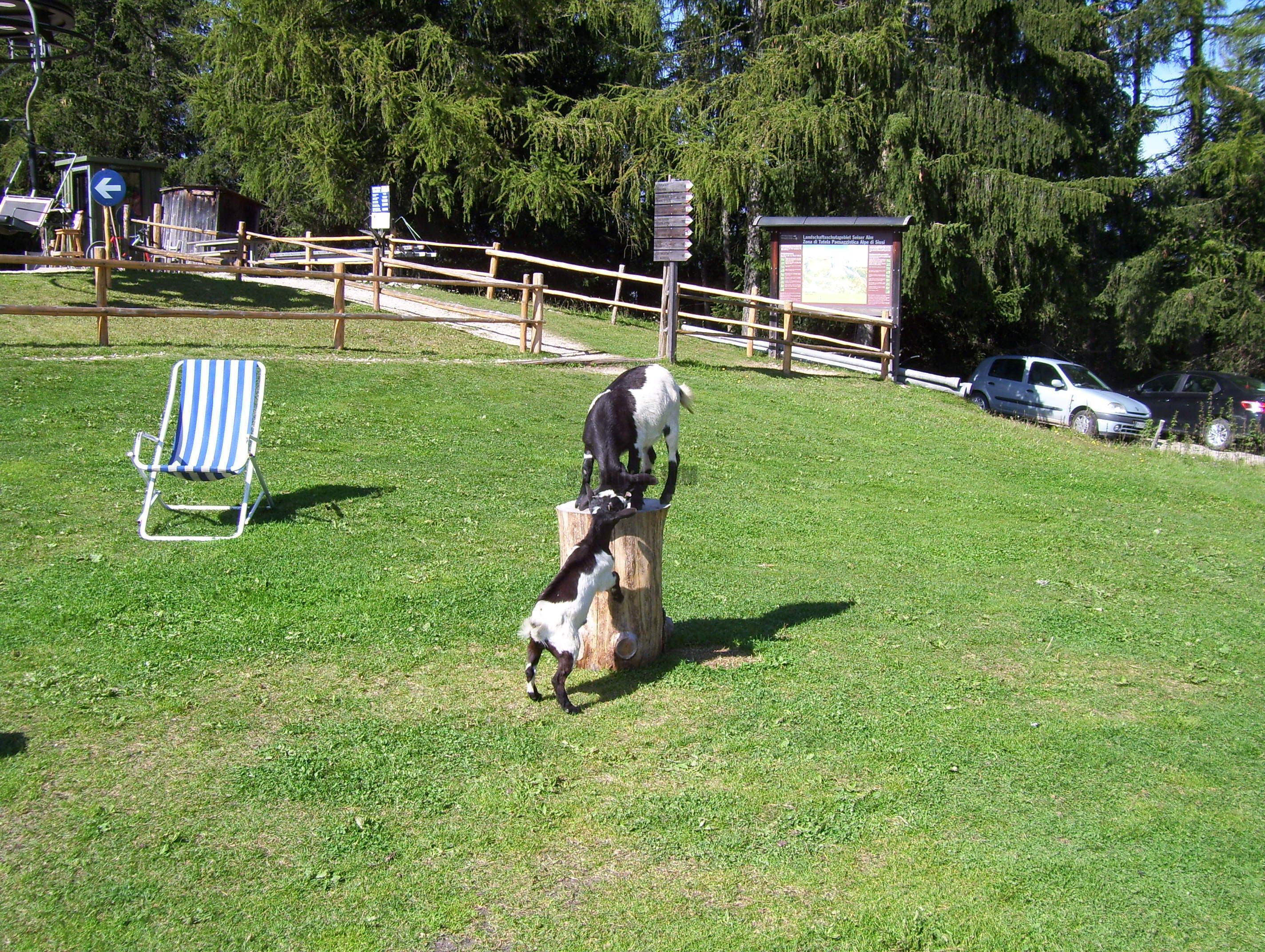 100_1279.JPG