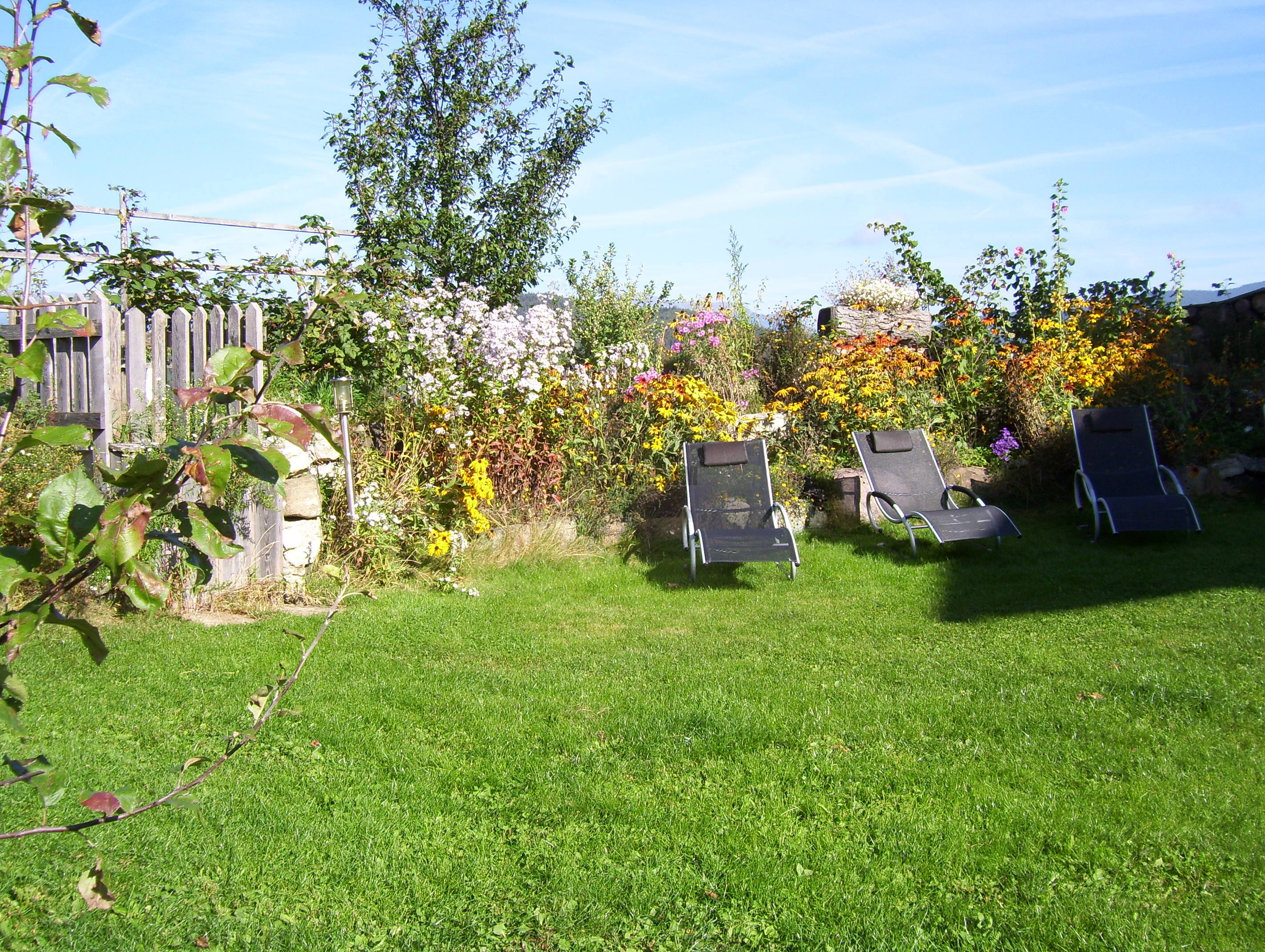 100_1299.JPG