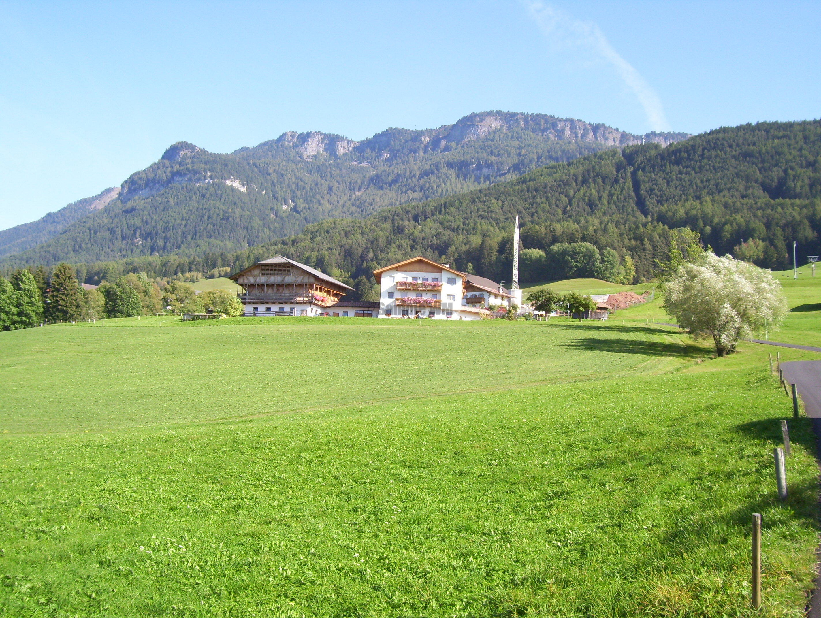 100_1316.JPG
