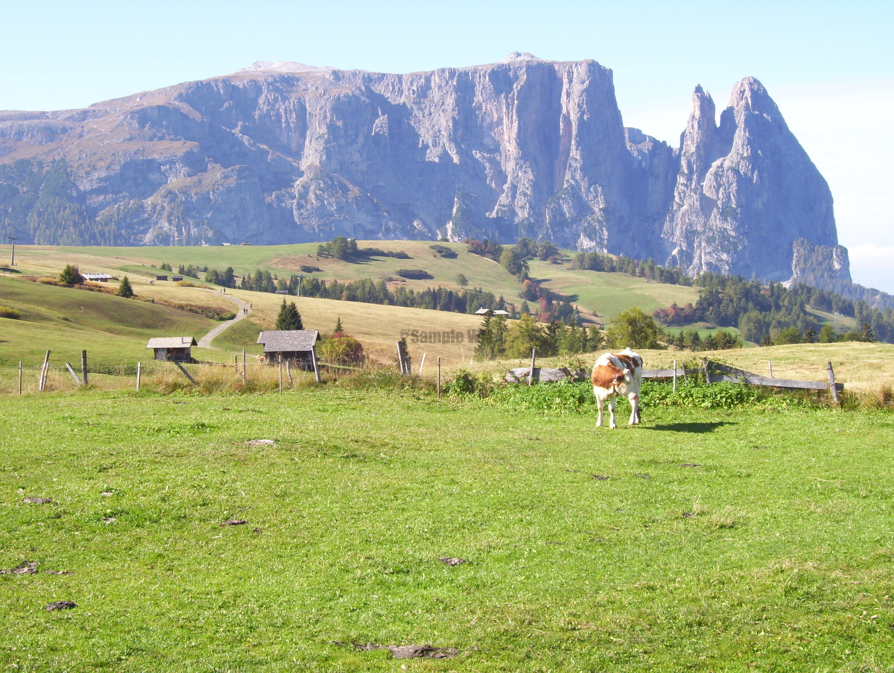 100_1335.JPG