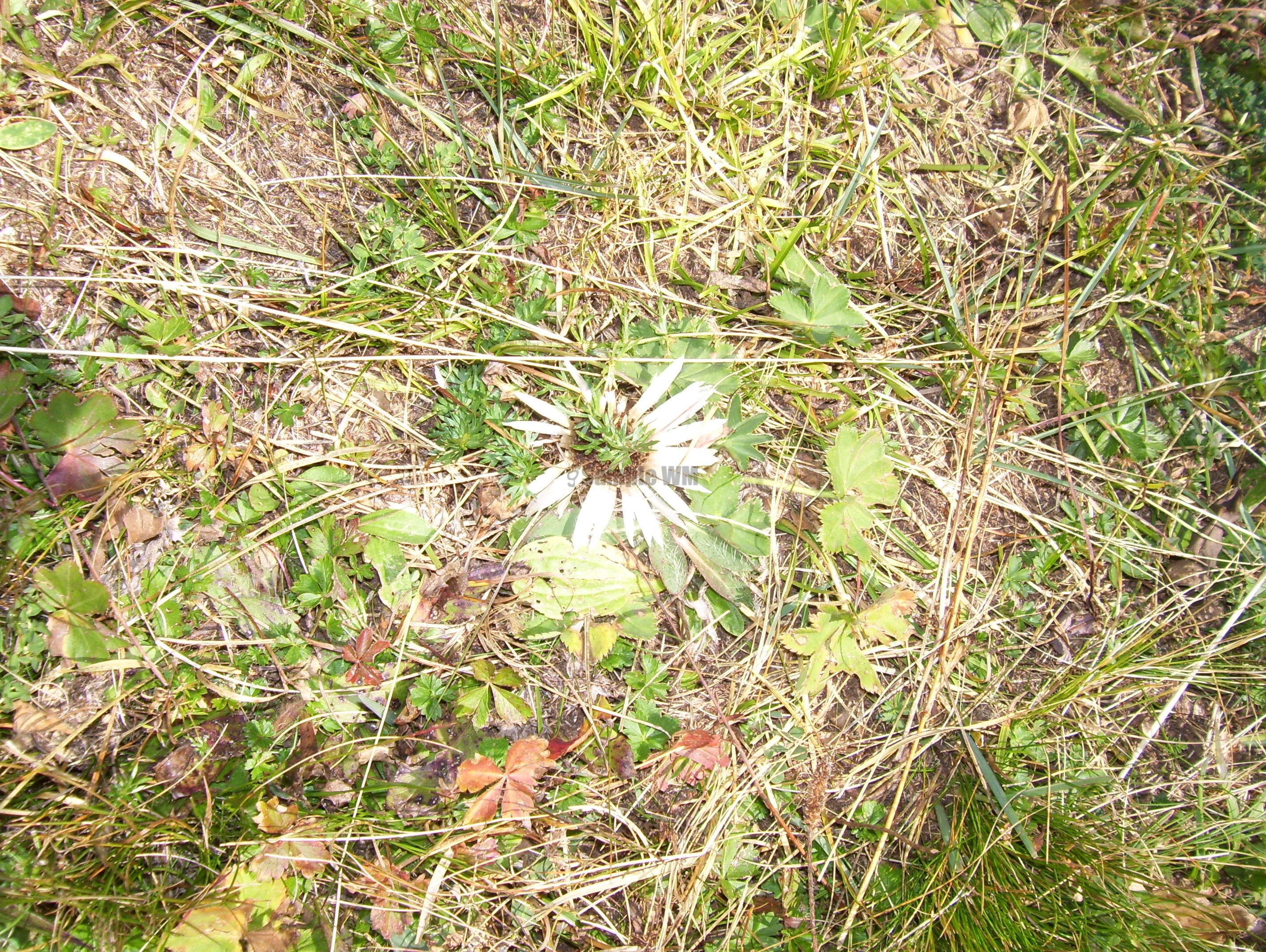 100_1355.JPG
