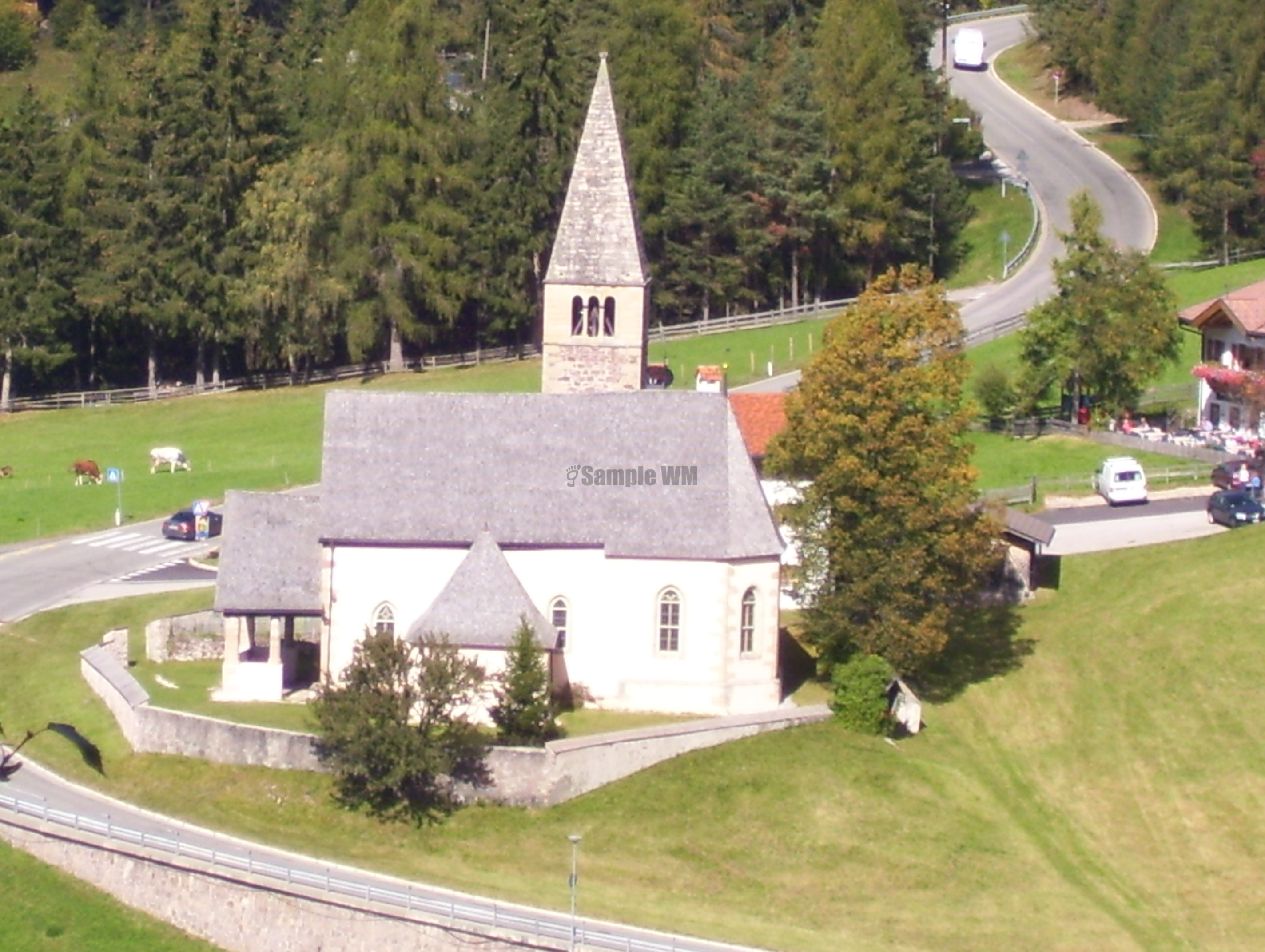 100_1384.JPG