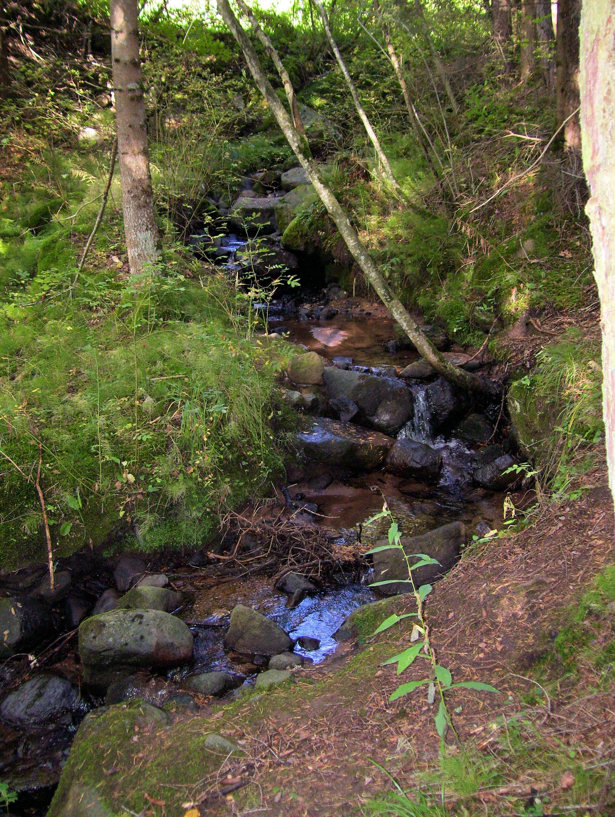 100_1388.JPG
