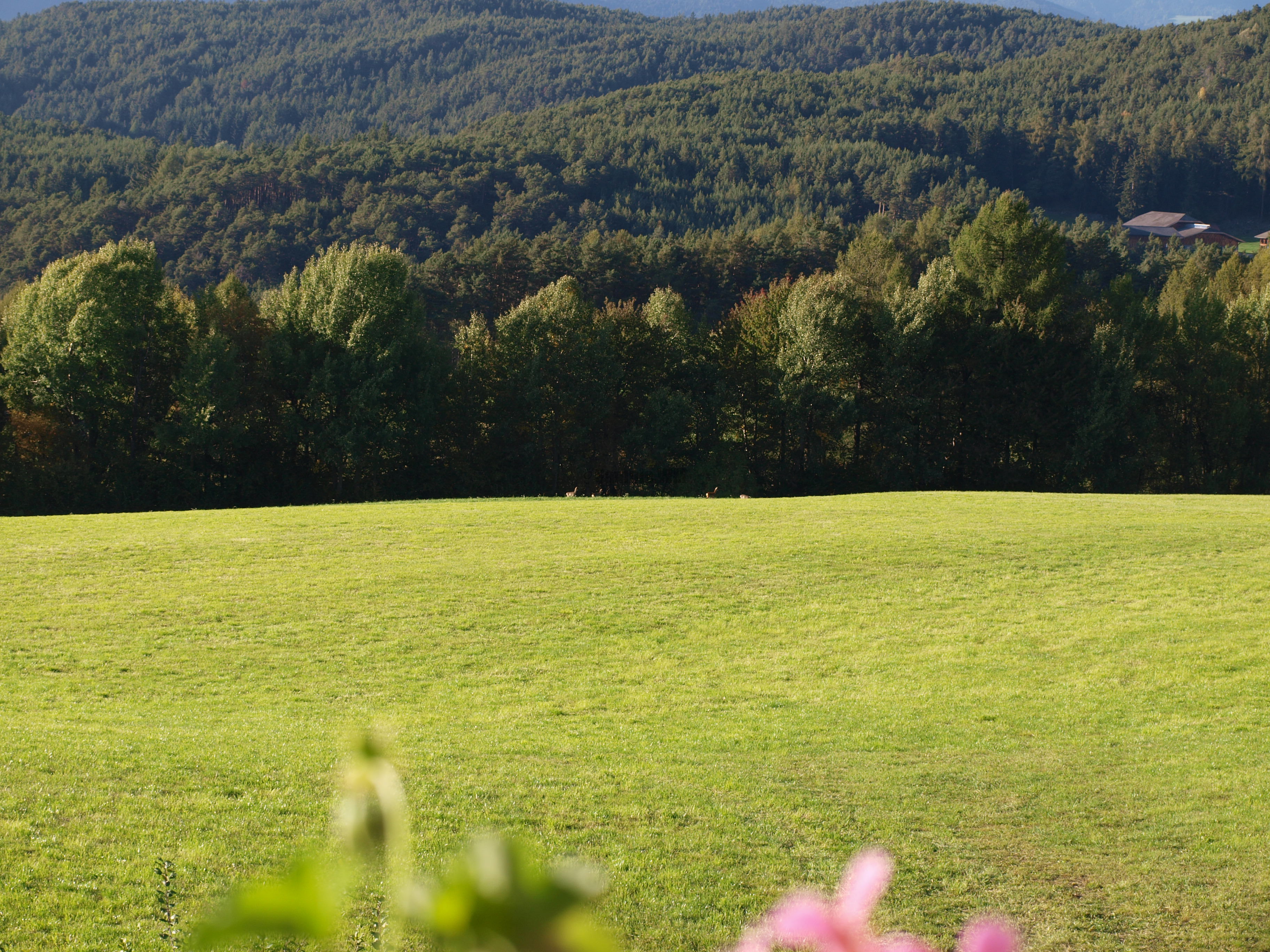 PA030444.JPG