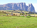 100_1335.JPG
