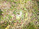 100_1355.JPG