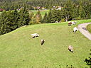 100_1386.JPG