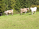 100_1387.JPG