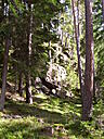 100_1391.JPG