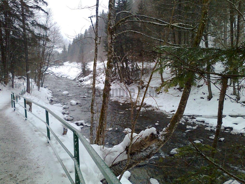 Foto0094.jpg