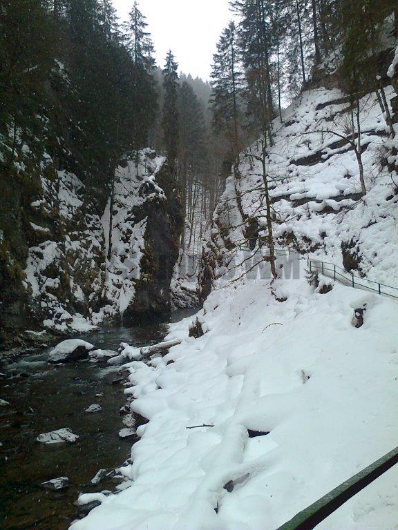Foto0095.jpg