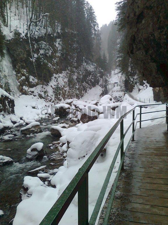 Foto0097.jpg