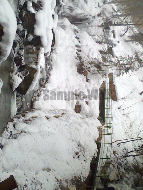 Foto0099.jpg