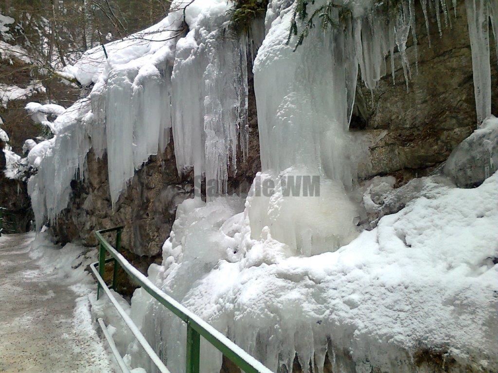 Foto0100.jpg