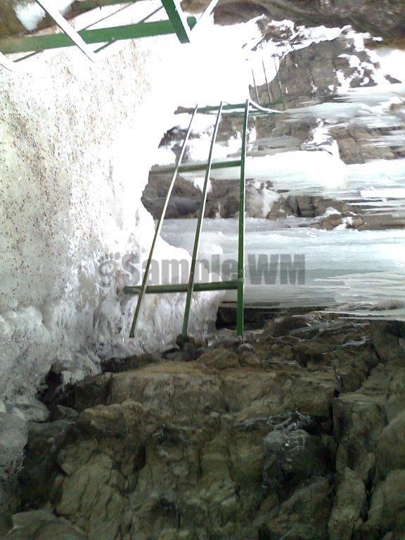 Foto0101.jpg
