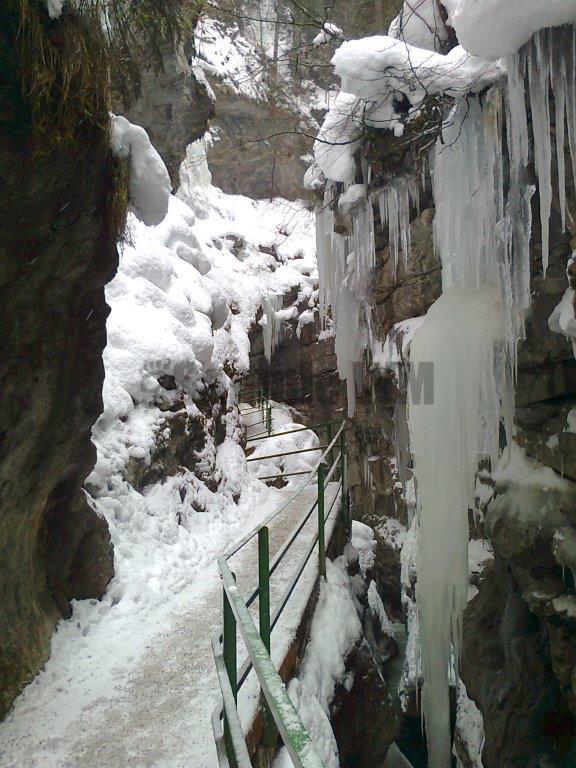 Foto0103.jpg