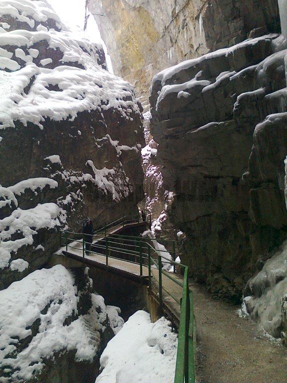 Foto0111.jpg