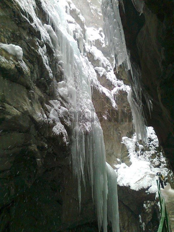 Foto0116.jpg