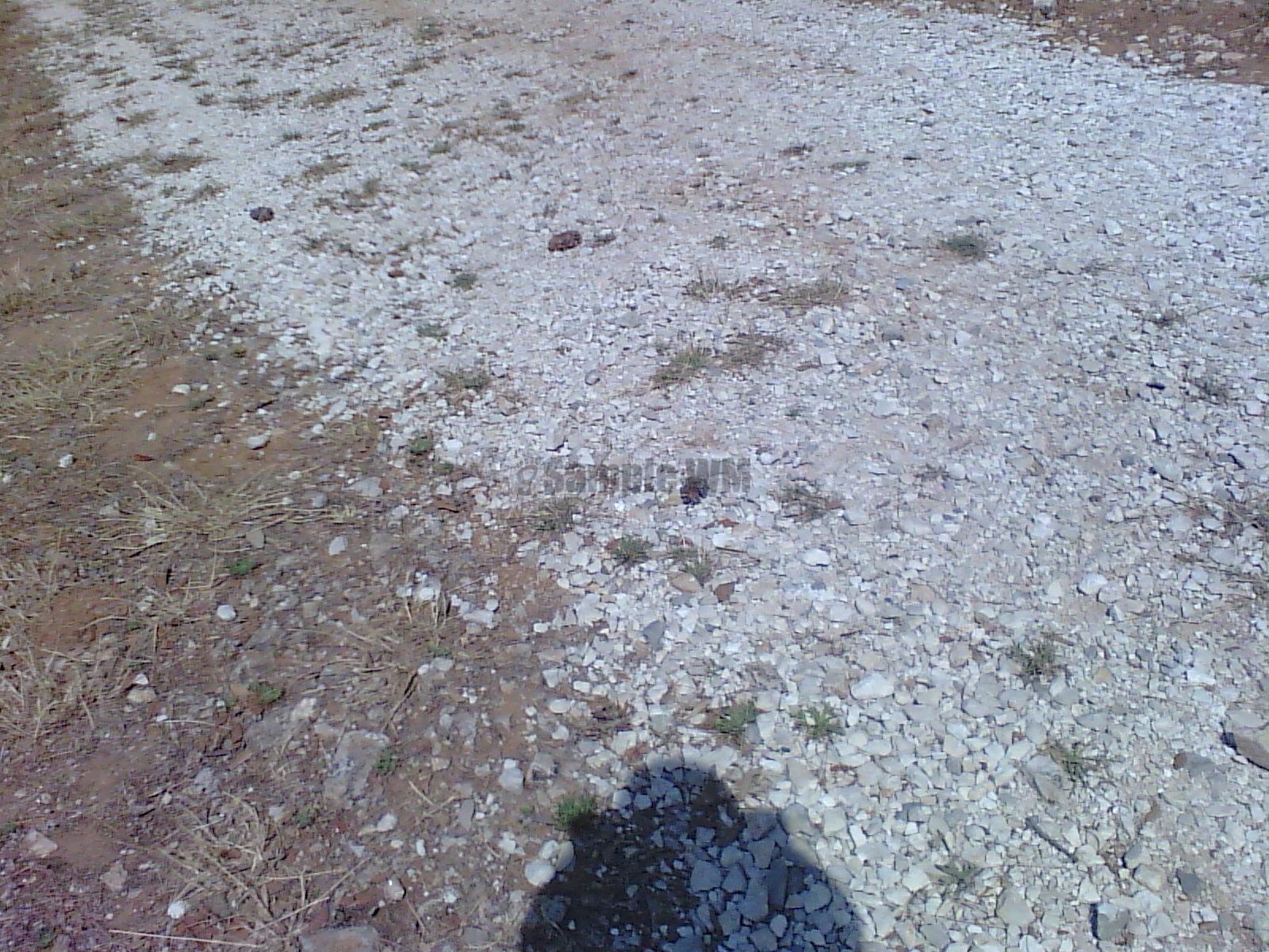 2015-06-23_10_34_27.jpg