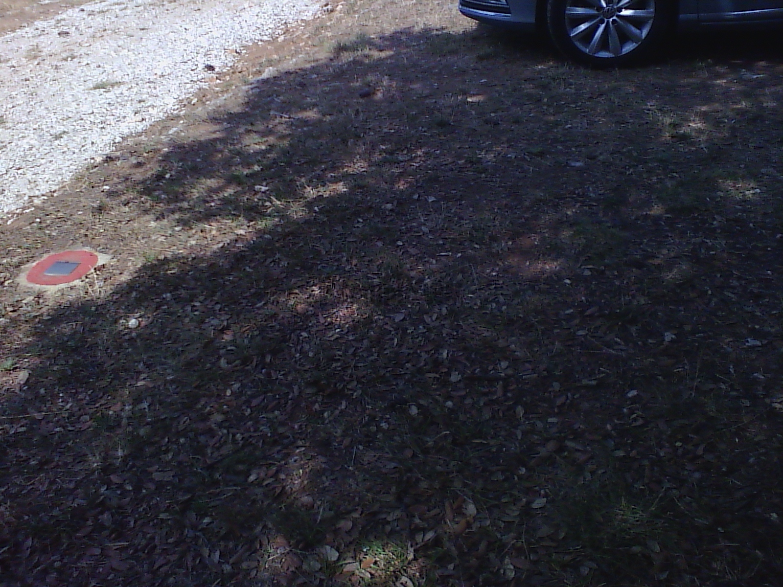 2015-06-23_10_35_35.jpg