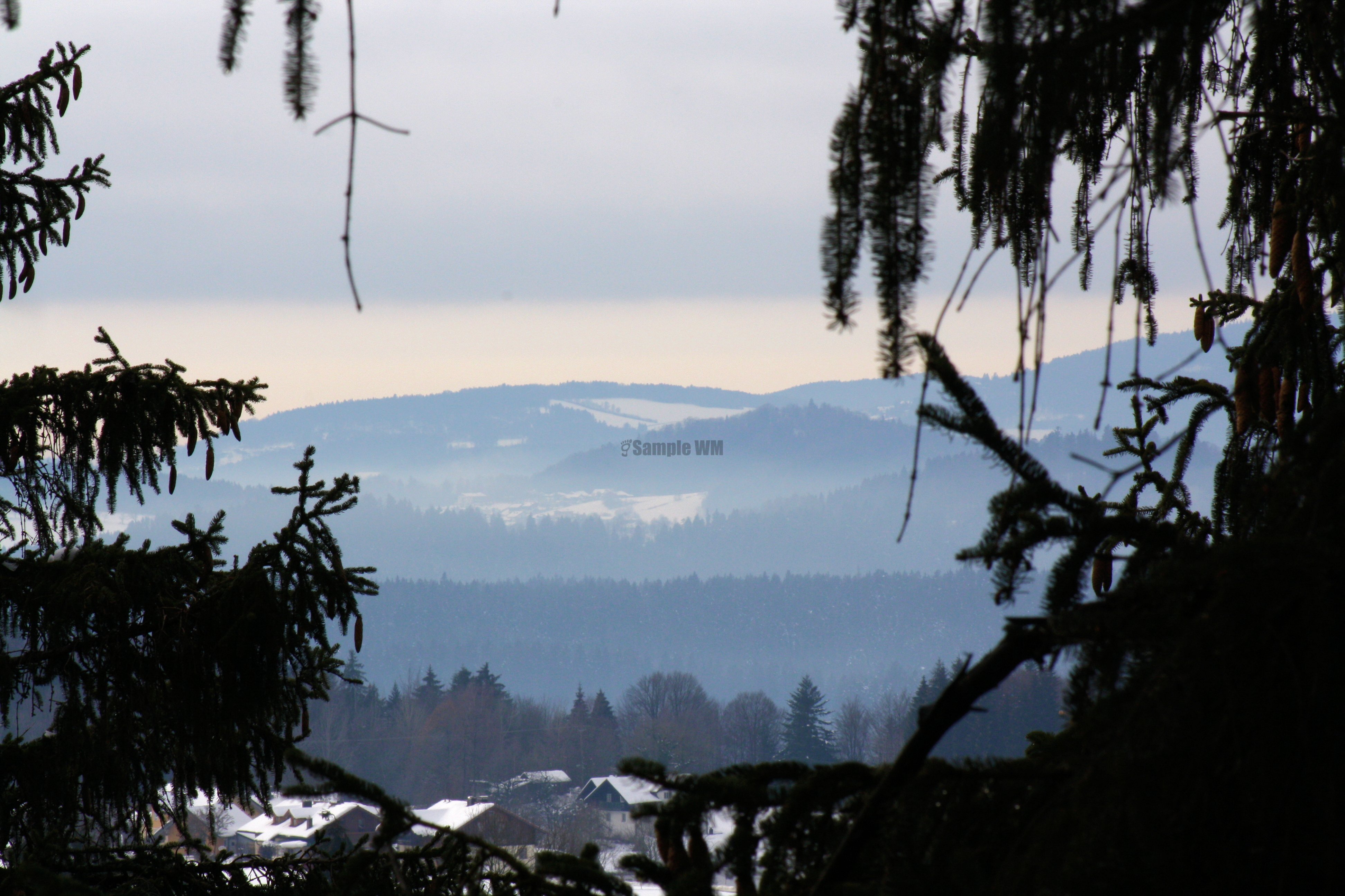 IMG_6984.JPG