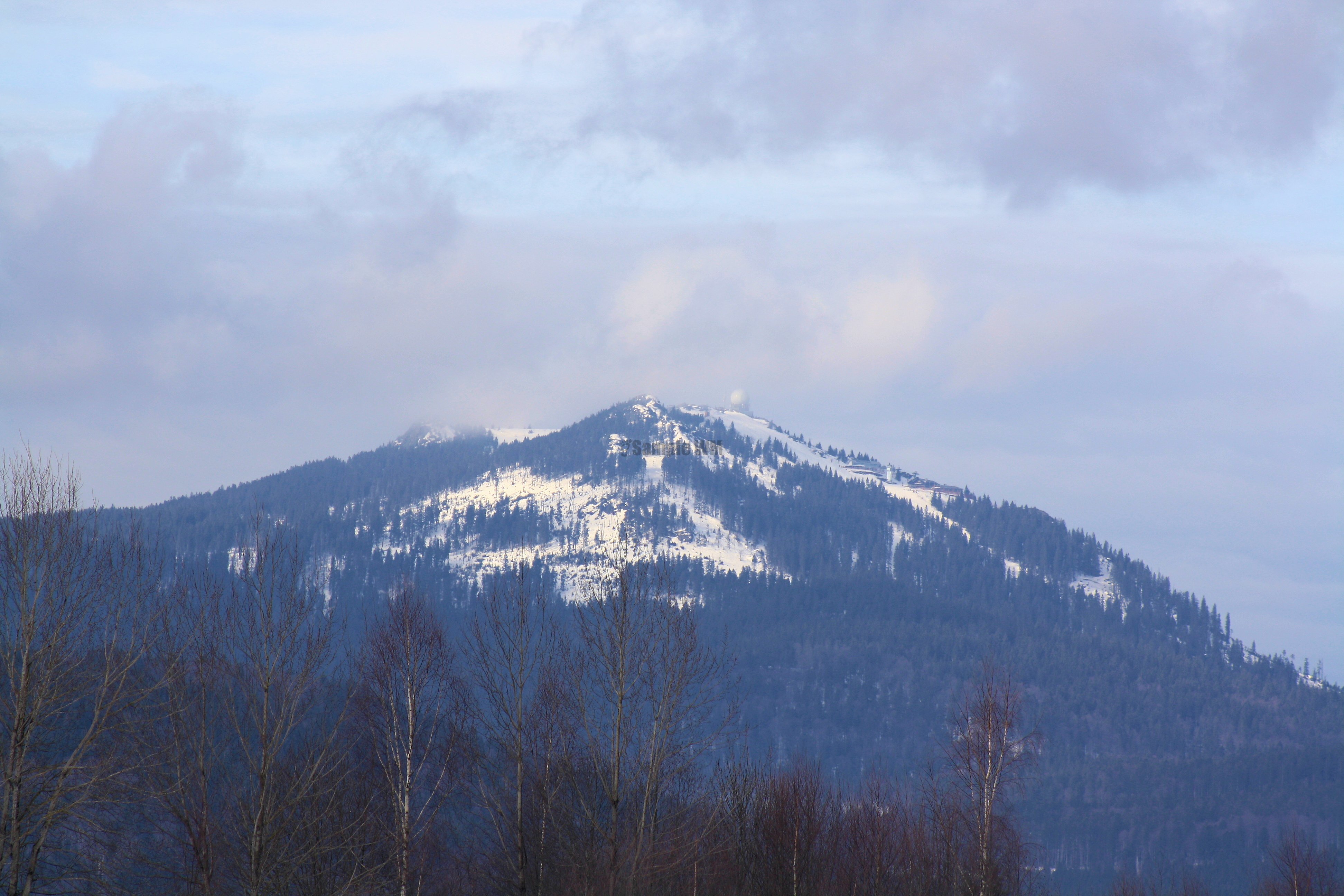 IMG_7086.JPG
