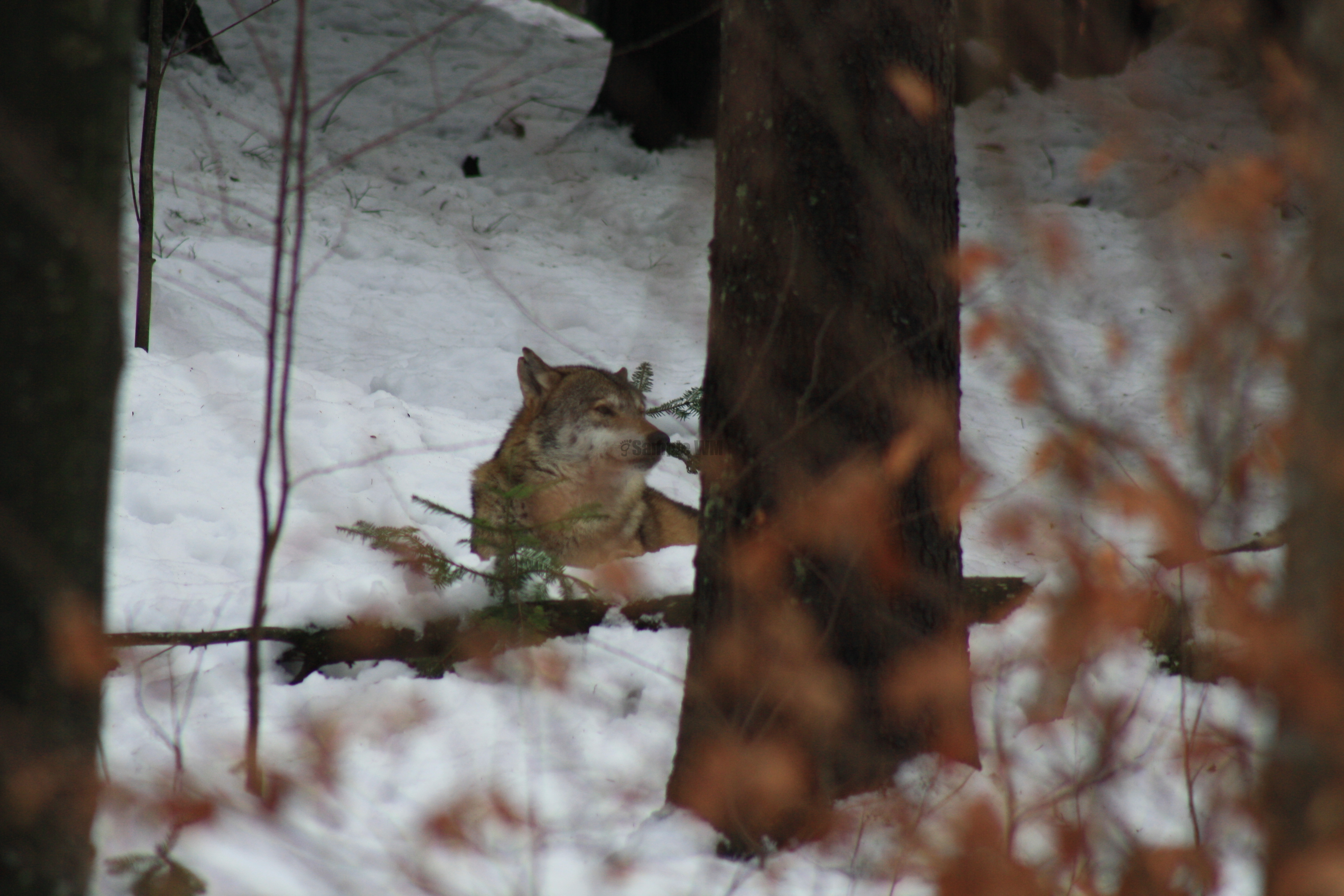 IMG_7114.JPG