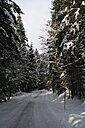 IMG_6886.JPG