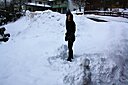 IMG_6934.JPG