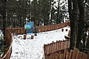 IMG_6956.JPG