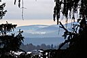 IMG_6984.JPG