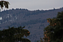 IMG_6985.JPG