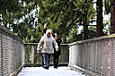 IMG_6994.JPG