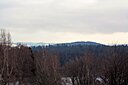 IMG_7006.JPG