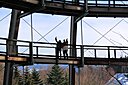 IMG_7009.JPG