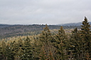IMG_7010.JPG