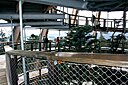 IMG_7042.JPG