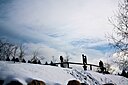 IMG_7064.JPG