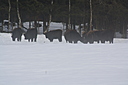 IMG_7082.JPG