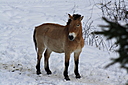 IMG_7089.JPG
