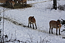 IMG_7090.JPG