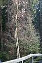 IMG_7091.JPG