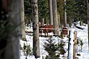 IMG_7092.JPG