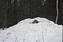 IMG_7097.JPG