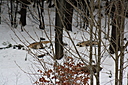 IMG_7103.JPG