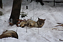 IMG_7110.JPG