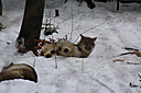 IMG_7111.JPG