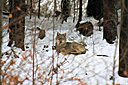 IMG_7118.JPG