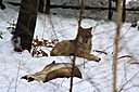 IMG_7120.JPG