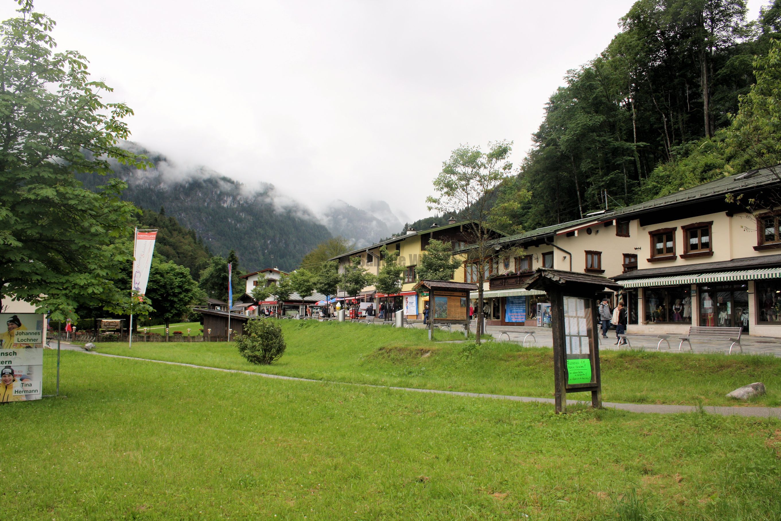 IMG_7353.jpg